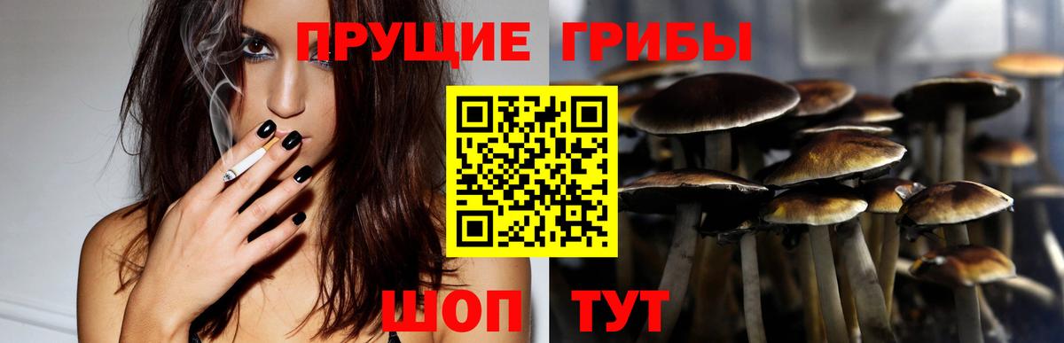 Гусев  Псилоцибиновые грибы Magic Shrooms  Вход с VPN 